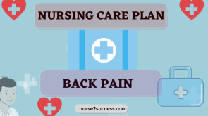 Care Plan (2)