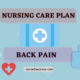 Care Plan (2)